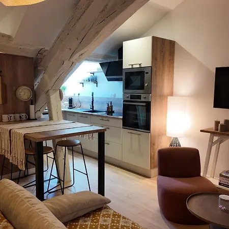 Hypercentre - Loge Pompon Dijon