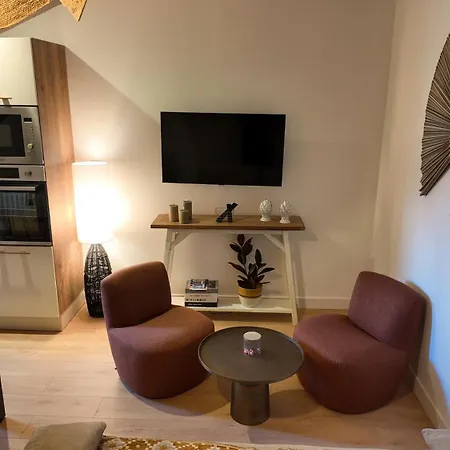 Hypercentre - Loge Pompon Apartment *