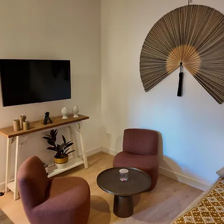 Hypercentre - Loge Pompon Appartement Dijon
