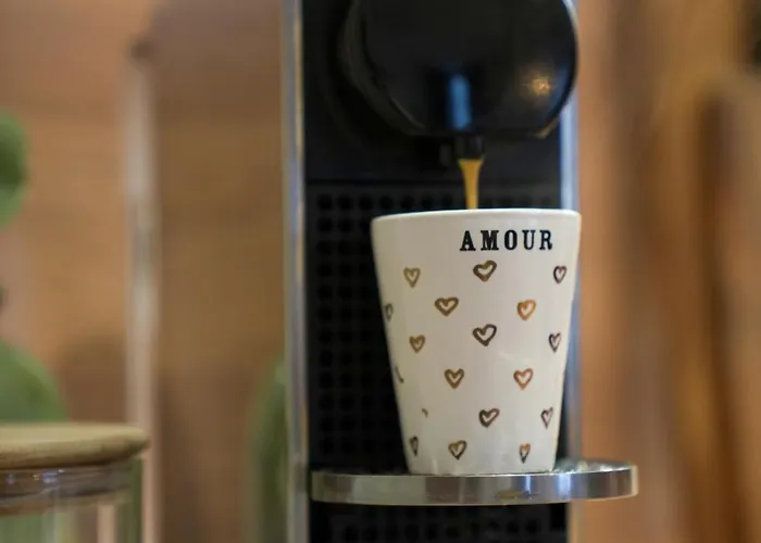 Apartment Hypercentre - Loge Pompon Dijon