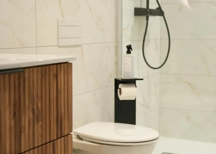 Hypercentre - Loge Pompon Dijon