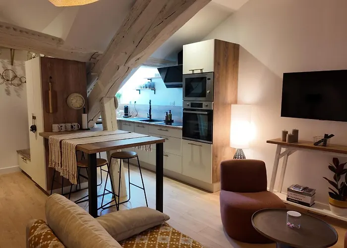 Hypercentre - Loge Pompon Dijon