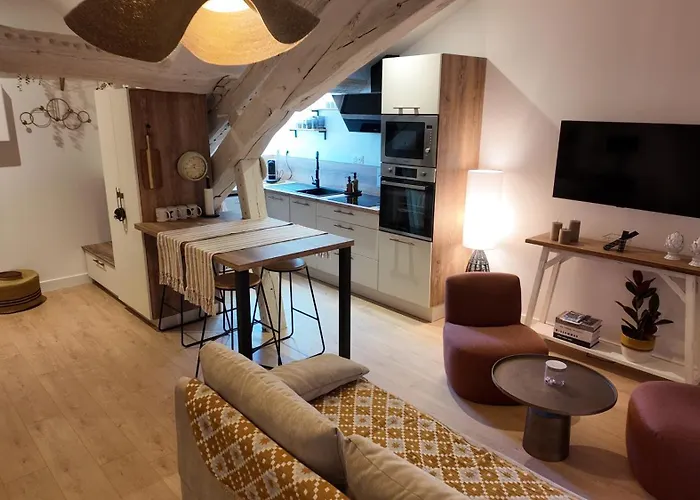 Hypercentre - Loge Pompon * Dijon